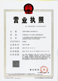 Business license