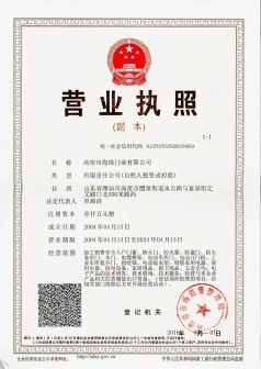 Haizhu Door Industry Business License