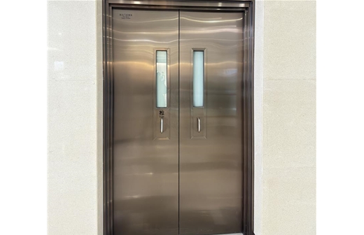 Stainless steel fire-proof glass doors